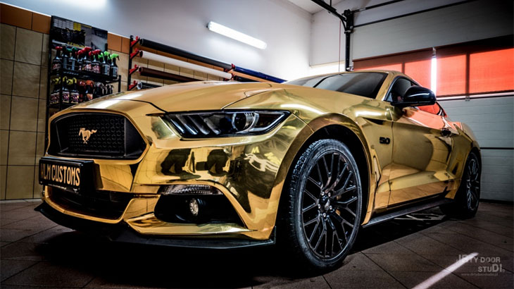 Ford Mustang GT 5.0 by WLM Customs